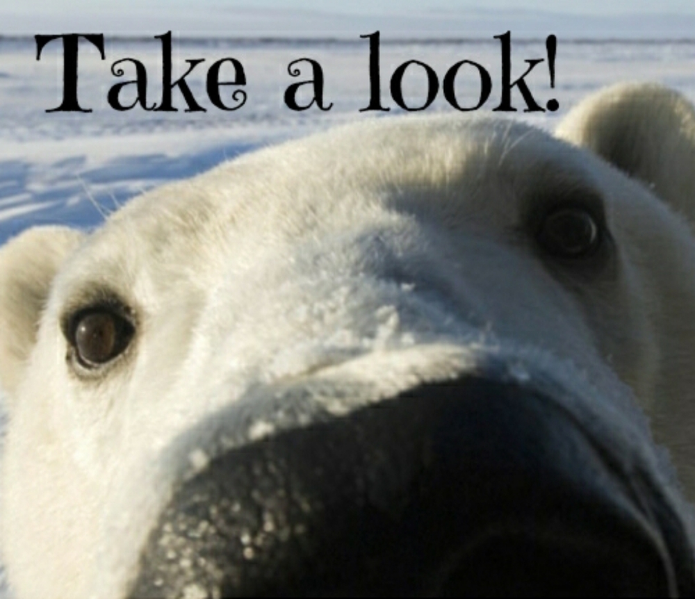 Take a look!
